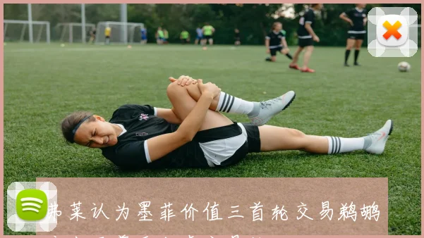弗莱认为墨菲价值三首轮交易鹈鹕应出于尊重考虑交易他