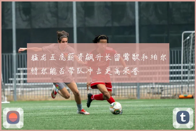 猛龙五虎薪资飙升长留莺歌和珀尔特尔能否带队冲击更高荣誉