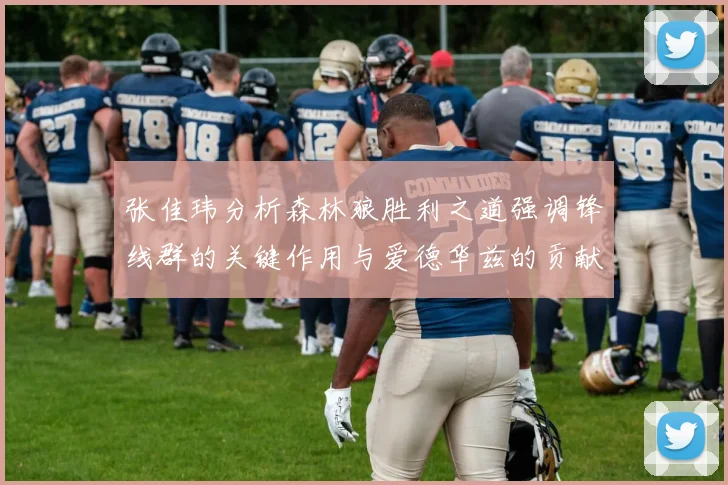 张佳玮分析森林狼胜利之道强调锋线群的关键作用与爱德华兹的贡献